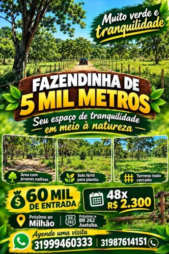 Terreno rural em mateus leme
