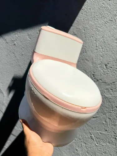 Troninho Privadinha Assento Redutor Pinico Infantil Para desfralde Marca Ohana Cor Rosa
