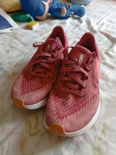 Nike Zoom Winflo Original