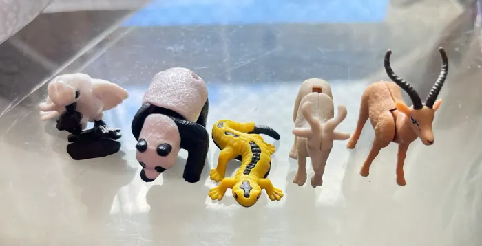 5 kinder Natoons