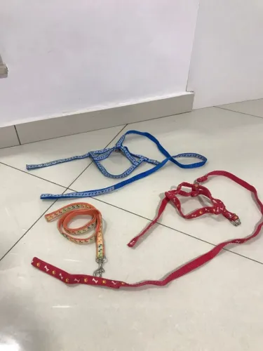 Guia para Pet