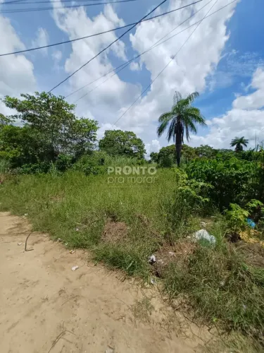 Lote/Terreno/Condomínio em Itapissuma