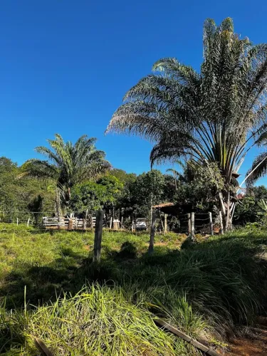 CHACARA 7 ALQUEIROS 