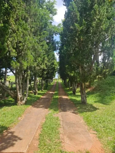 FAZENDA ESPETACULAR À VENDA | CUNHA/SP Área Total: 183 Alqueires Paulistas