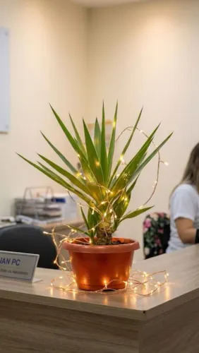VASO ADUBADO COM PLANTAS NATURAL YUCCA FAZEMOS ENTREGA