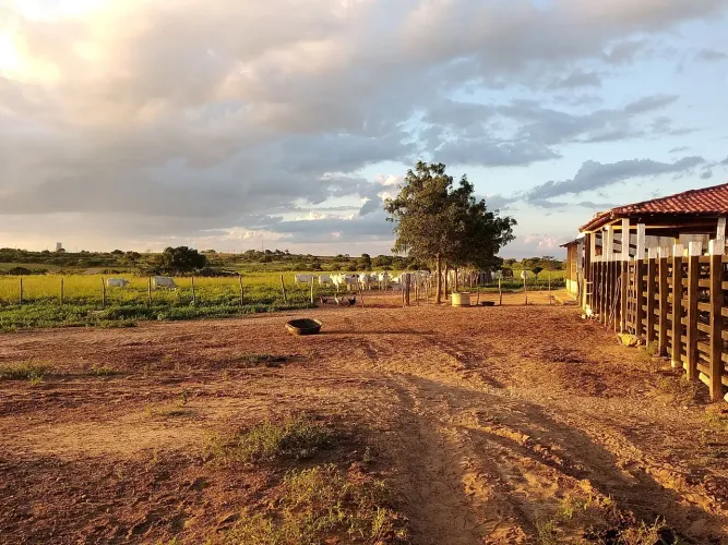 VENDO FAZENDA EM POÇO VERDE 