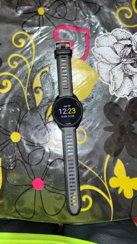 Garmin 165