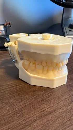 Vendo manequim odontológico 