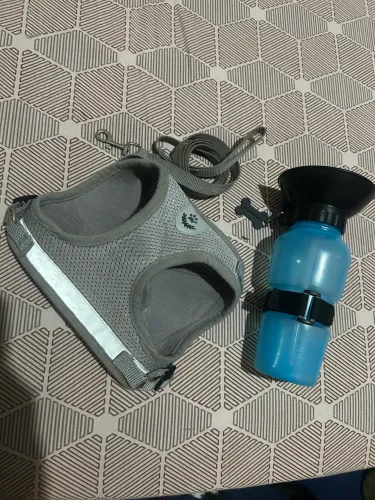 Acessórios pet