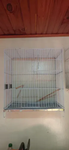 Gaiola para Pássaros