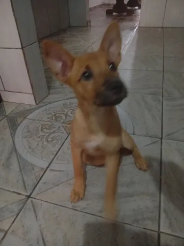 Doação responsável 