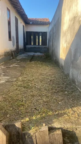 Limpeza de terreno com Roçadeira 