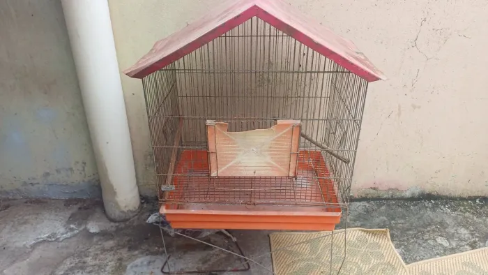 Gaiola de passarinho