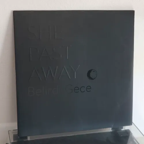Vinil She Past Away - Belirdi Gece