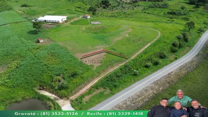 HARAS COMPLETO À VENDA EM POMBOS PE