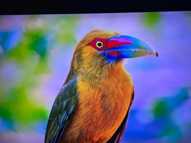 TV Samsung 50 polegadas 4K