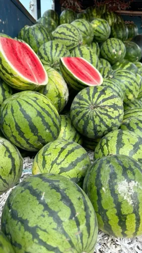 VENDA NO ATACADO E VAREJO