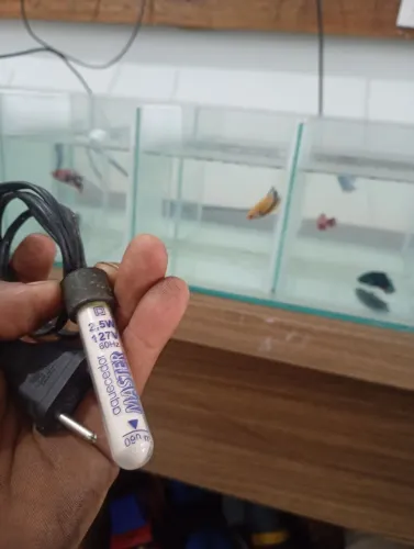 Aquecedor de aquário