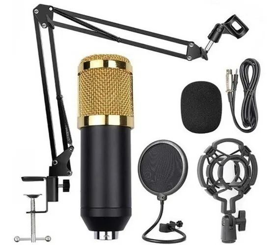 Kit Microfone Condensador Braço Articulado P2 bm800