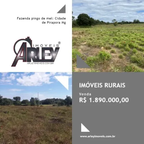 Fazenda pingo de mel: Cidade de Pirapora Mg