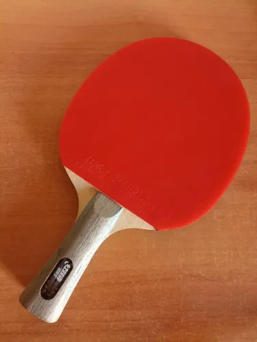 Raquete Tênis de Mesa DHS 6002