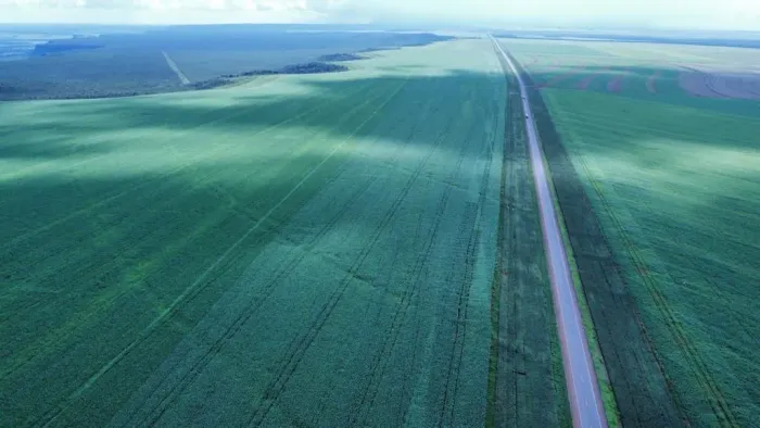 Fazenda 5.700hec em Diamantino MT. Plantando 3.650hec R$:2.650.000 sacas soja em 8 anos.