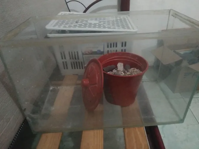 Aquário 40 litros