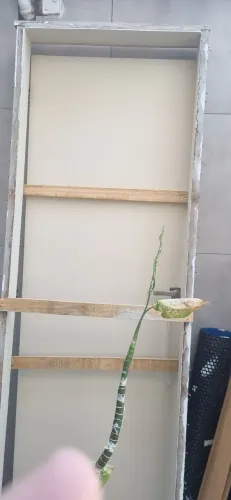 Porta com marcos completo