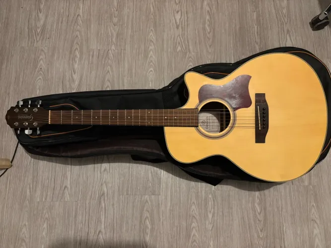 Violão Giannini GGC-PLUS CEQ NS