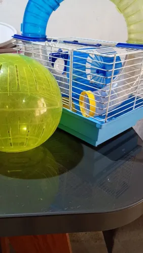Gaiola pra ramister com bola