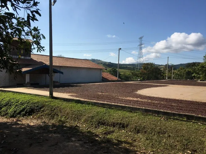 Sítio 20 Alqueires, Rico em Água com Açudes e Ribeirão, 105 Mil Pés de Café, Barracão, 4 C