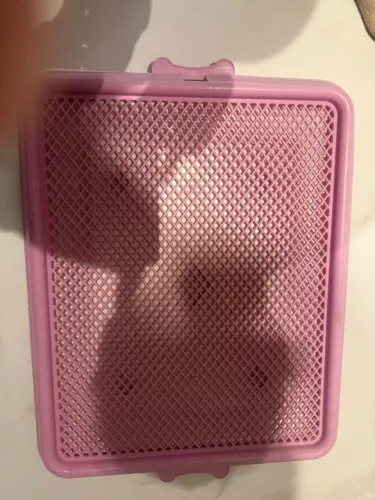 Tapete Higiênico Reutilizável para Cães - Bandeja com Grade (Pet Injet)  
