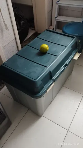 Baú com rodas , caixa de ferramentas 