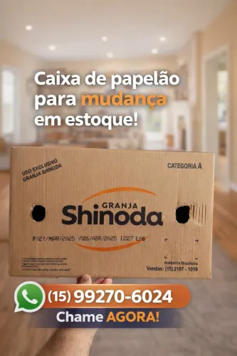 Caixa de papelão para mudança 