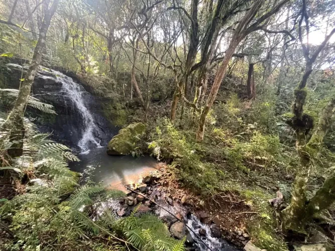 Terreno Rural de 24 Hectares  Na Rota das Vinícolas da Serra Catarinense!