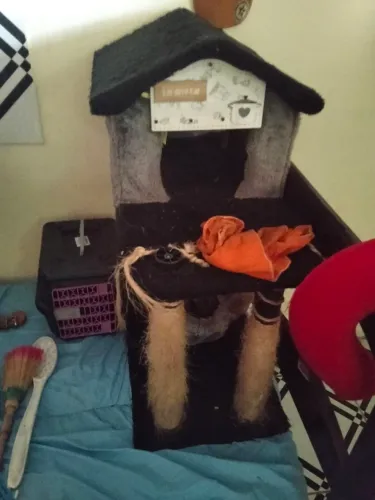 ? Casinha para Gatos ou Animais de Pequeno Porte
