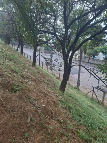 Ajudante  de jardineiro 