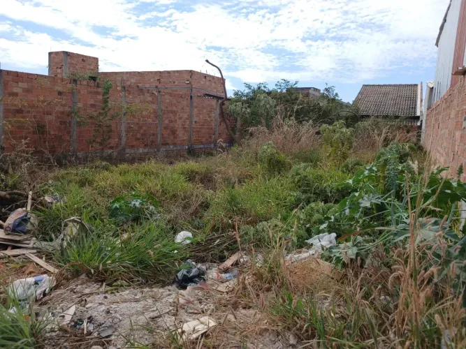 Lote murado