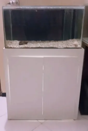 Aquário com sump