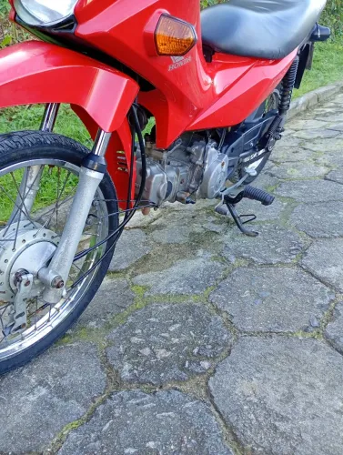 Honda pop 2020