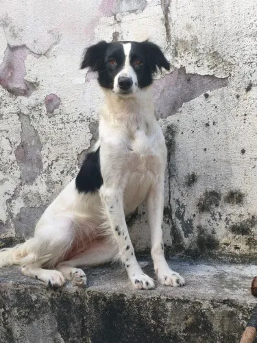 Doação responsável!!