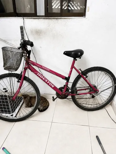Bicicleta