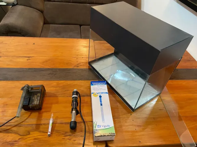 Kit Aquário 30 Litros Completo com Filtro e Termostato - Pronto para usar!