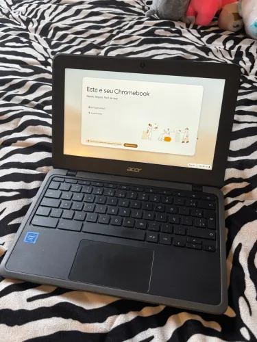 Chromebook Acer C733 Series