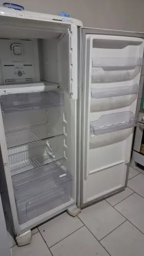 Geladeira Electrolux Frost Free RFE39 322L (274L no refrigerador e 48 L no freezer)