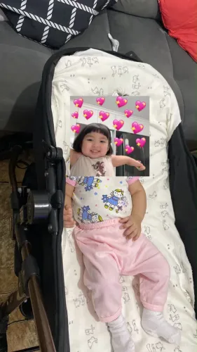 Bebê conforto e carrinho