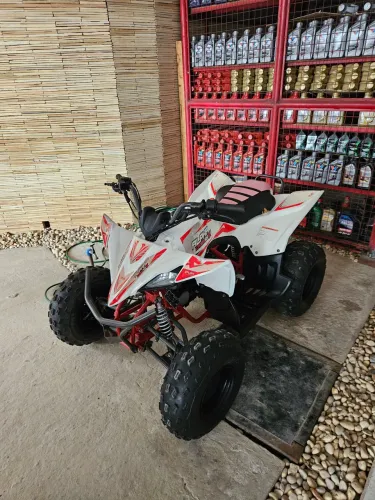 Quadriciclo Alpha Cross 125ex