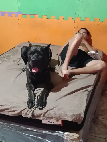 Atrás de uma namorada