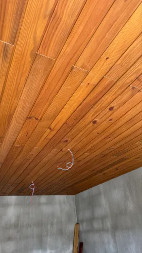 Forro Pinus Tratado