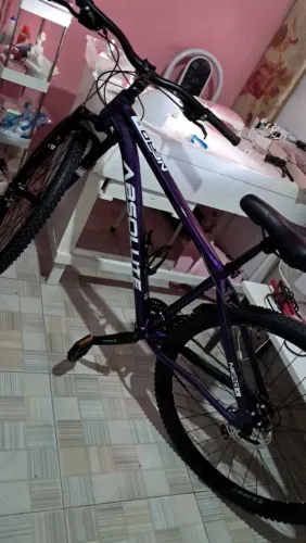 Bicicleta Absoslute